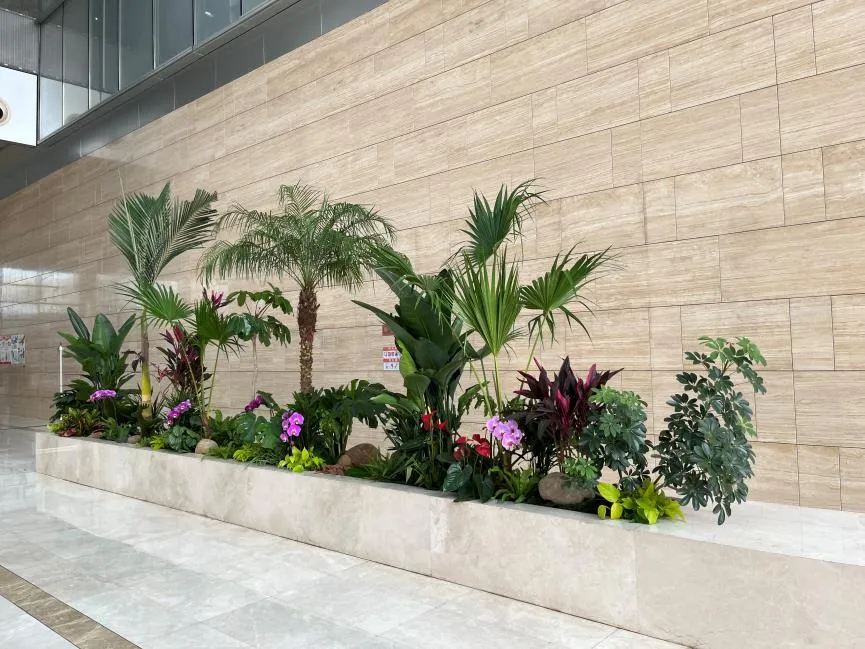 宁波海曙绿植租摆价格曝光，性价比高到尖叫！